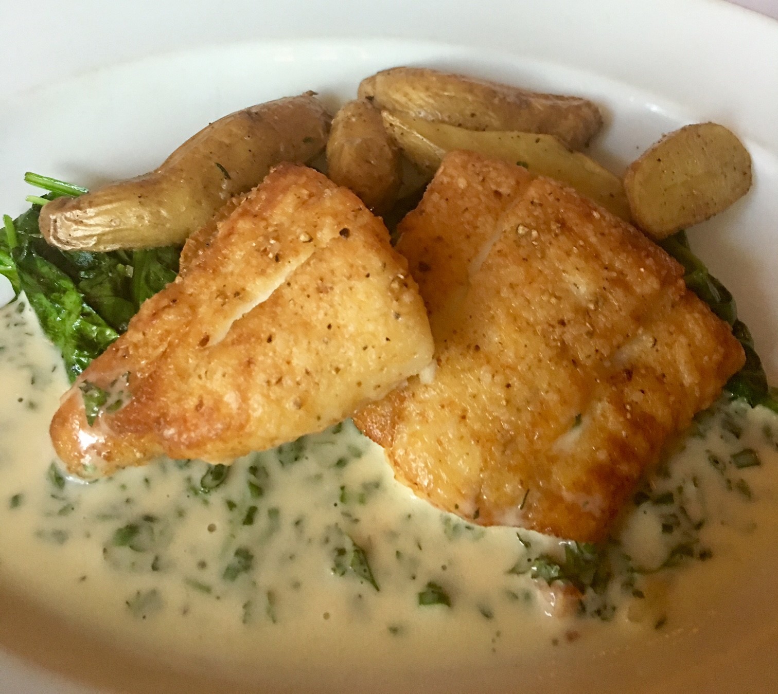 Pan Seared Speckled Trout